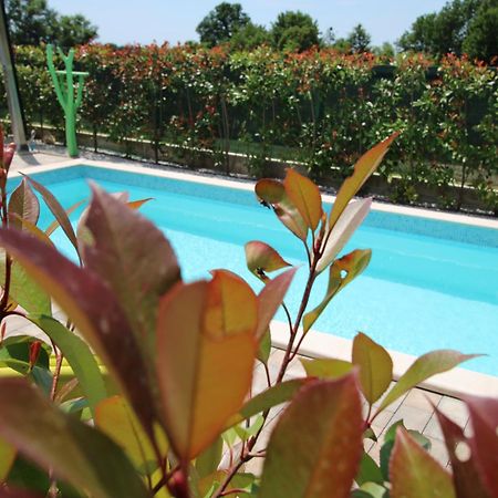 Labinci Apartments Green Garden מראה חיצוני תמונה